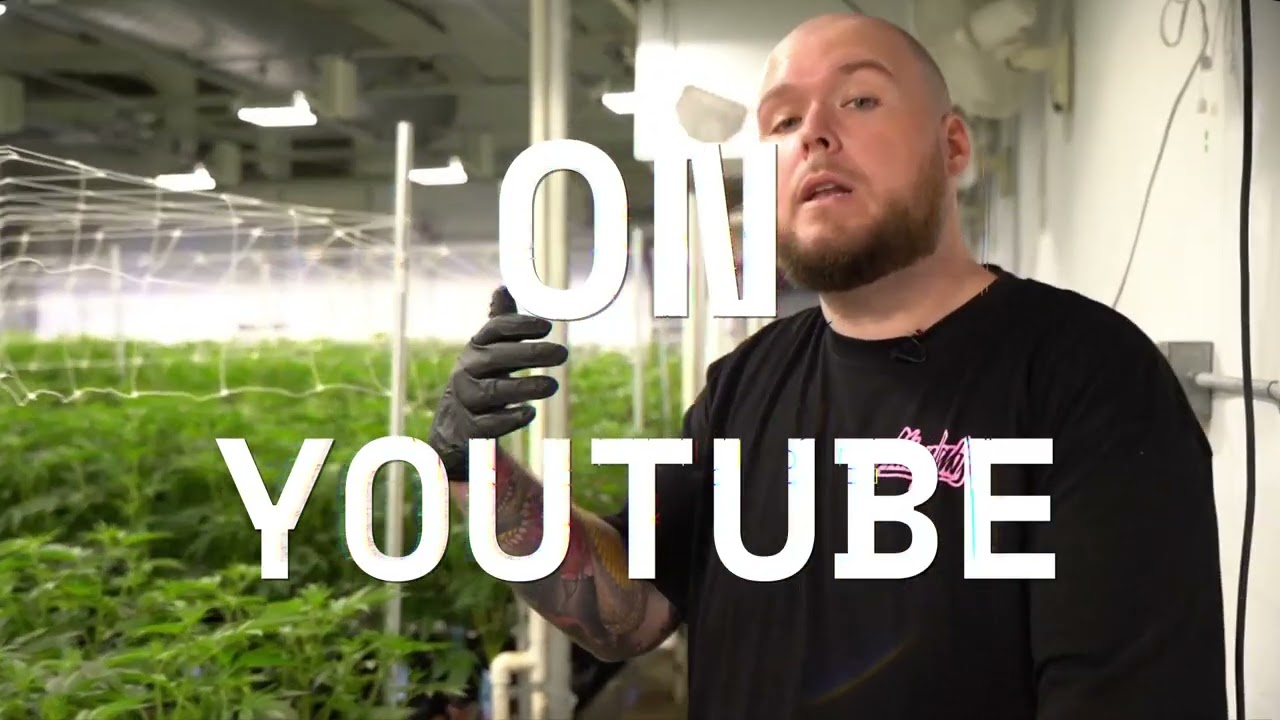 AlienLabs TV Trailer