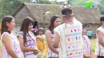 Bảo Lâm : Tái hiện lễ mừng lúa mới của dân tộc Mạ I  Lâm Đồng TV
