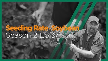InsidePTI S2•E37 | Seeding Rate ‣ Soybean