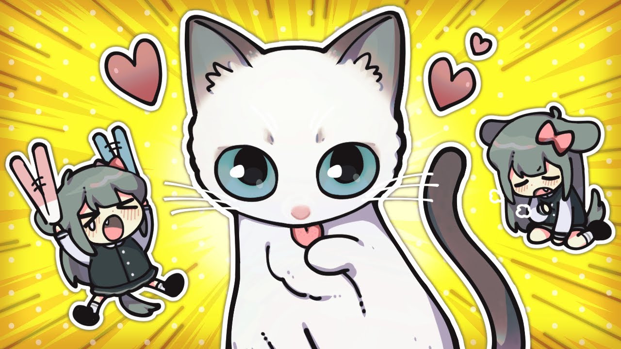 저희집에 새식구가 생겼어요!