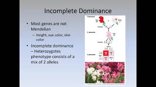 Ch. 9-Inheritance intro Guide