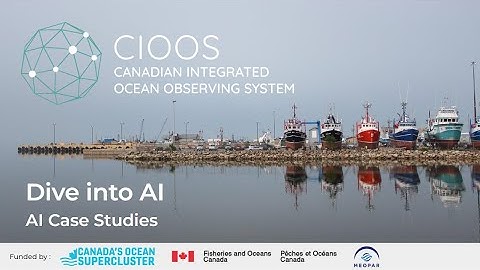 Dive into AI: Emerging Ocean Opportunities Workshop - AI Case Study Discussions