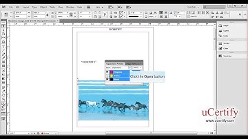 Adobe InDesign how to separations and ink limits previews demo