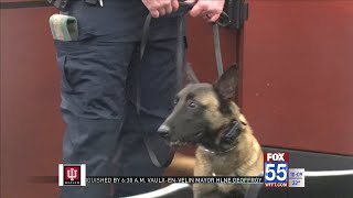 Fort Wayne police welcomes three new K-9 dogs