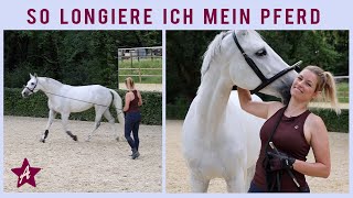 Ohne Ausbinder LONGIEREN I Kappzaum & Bridal I Übungen Faszientherapie an der Longe I Ponyhausen