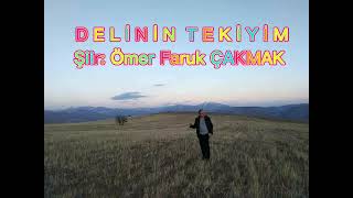 Delinin Tekiyim Şiir:Ömer Faruk ÇAKMAK