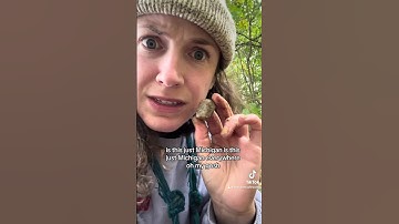 🤯 WHUT R THIS?? Fossils already? Y