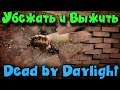 Убежать и выжить - МИР МАНЬЯКОВ DEAD by Daylight