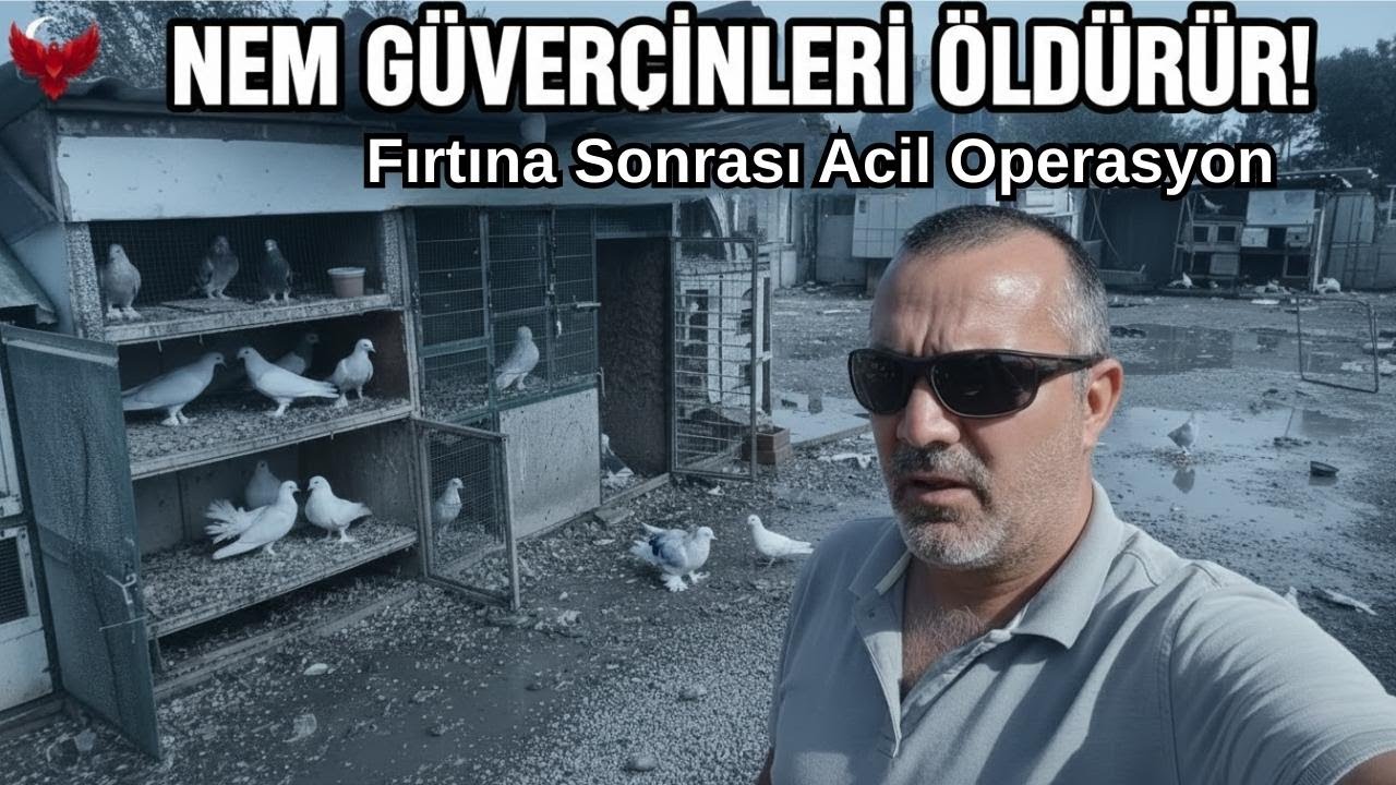 💀 NEM GÜVERCİNLERİ ÖLDÜRÜR! | Fırtına Sonrası Acil Operasyon | ARYA Doğumhaneye Girdi..