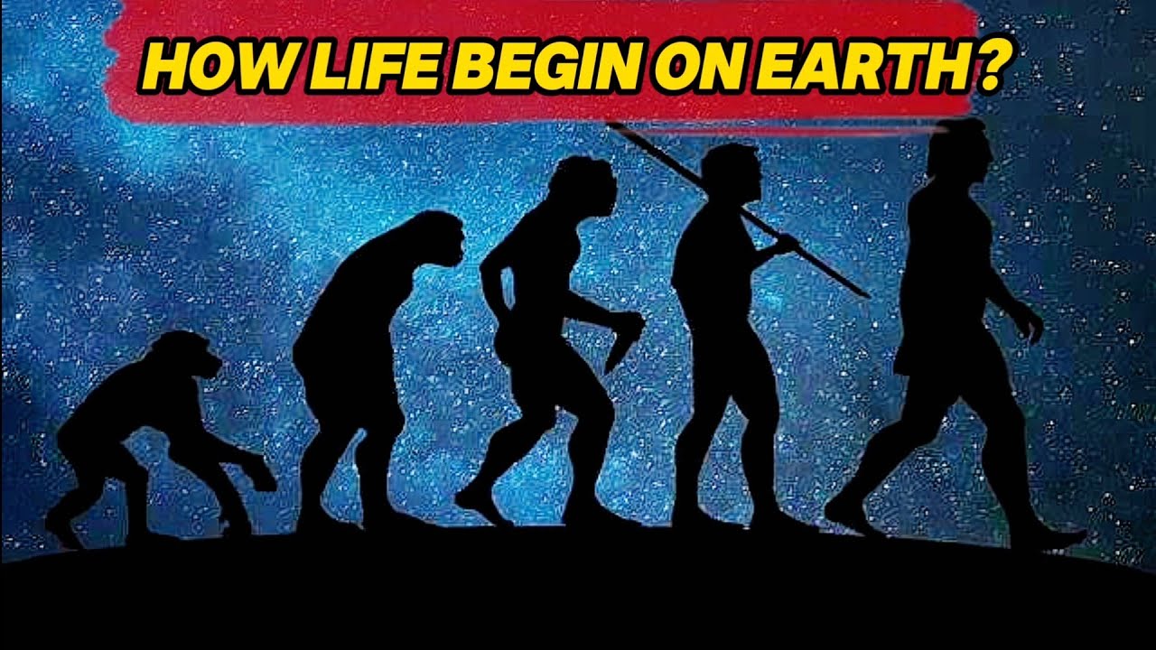The Mystery of Life's Beginning: How Did It All start? - YouTube