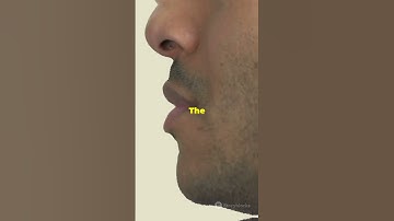 WIMP-Quark Interactions: The Migdal Effect Explained #sciencefather #darkmatter #researcher