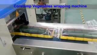 KT-450D Horizontal automatic cucumber vegetables packing machine