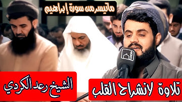 تلاوة يجبرك إلى التدبر والخشوع...الشيخ رعد محمدالكردي  Shix Ra'ad mohammad Al-kurde surah ibrahem.
