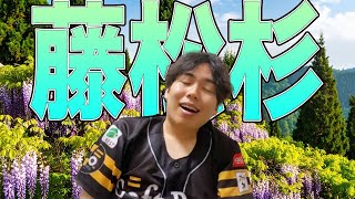 【雑談配信】ホークス藤井-松本-杉山の鉄壁リレーたまらんすぎる...【深夜でスマン】