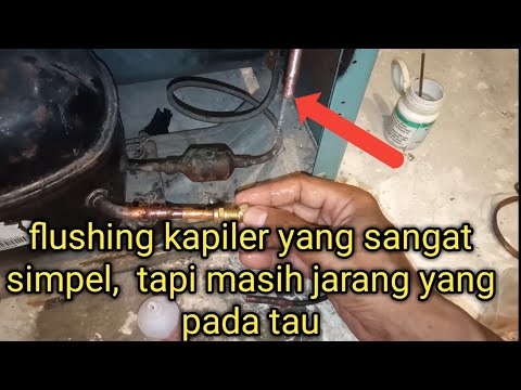 Cara Membersihkan Kulkas Dua Pintu
