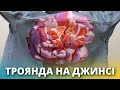 Роспись джинсовой куртки акрилом. Роза на джинсе.