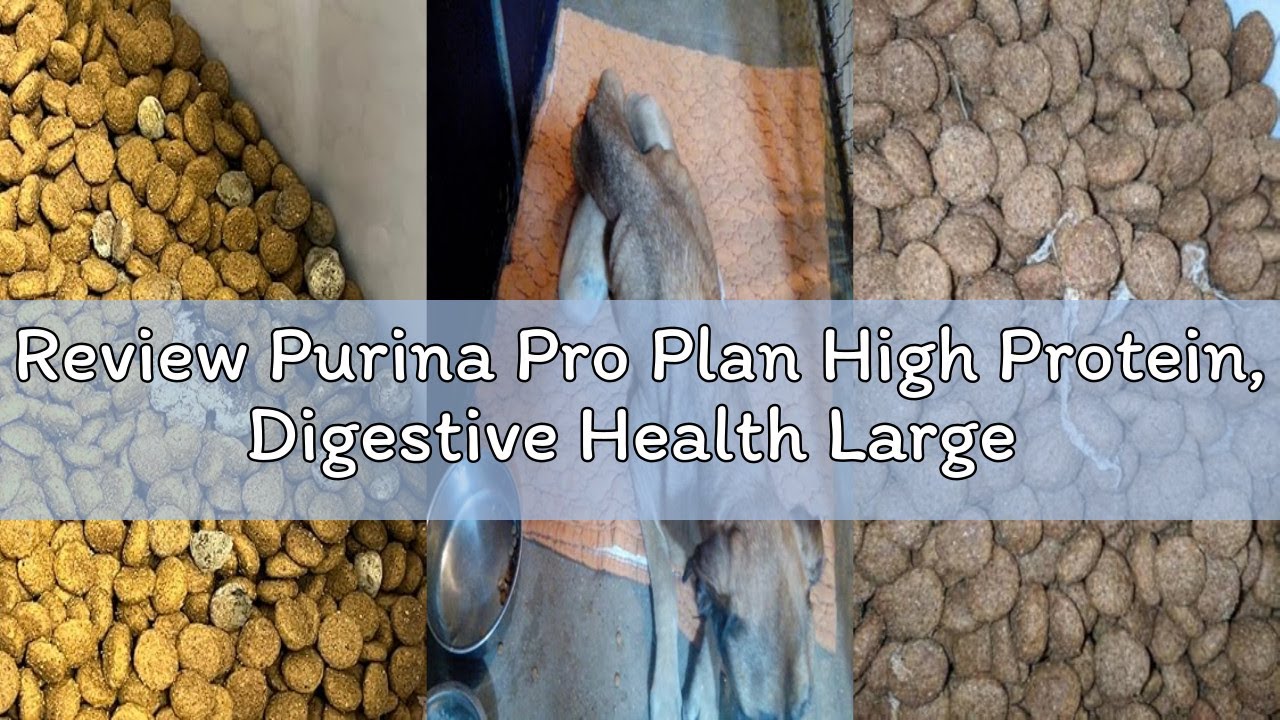 Photo inspiration: Visual Reference: Review Purina Pro Plan High Protein Digestive Health Large Breed