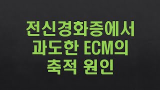 전신경화증에서 과도한 ECM 축적의 원인은?