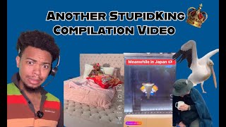 Another StupidKing Compilation Video!