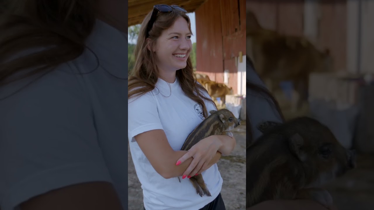 LCF Shorts | Farm Chores | May 2026