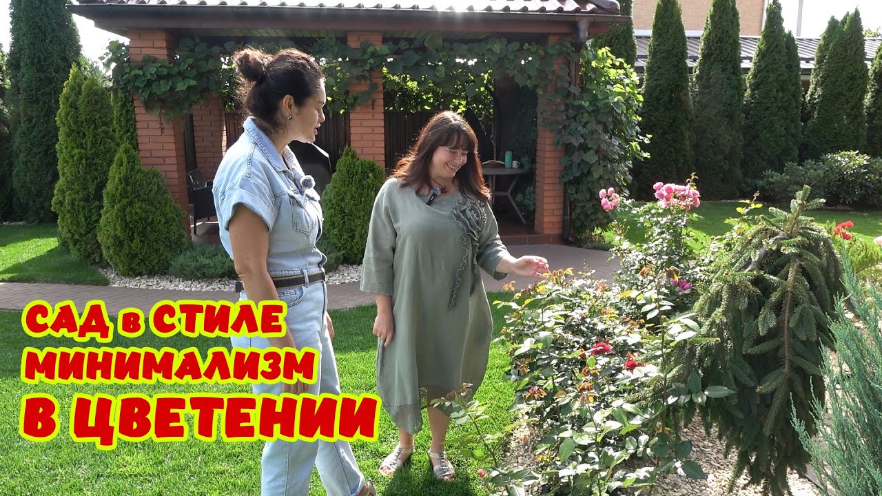 ИДЕАЛЬНО - СТРОГИЙ САД. Виноград созрел! Гортензии распустились! Сдержанность и пару ярких пятен 👌