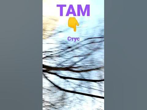 пагоня😮😮😎😎😼😼😽😽🙀🙀😿😿😾😾😺😺😸😸😹😹👻😻 - YouTube
