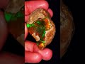 Red Fire opal #opal #crystals #gemstone #jewellery #foryou #trending #viral #shorts #reels #forsale