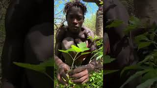 Hadzabe tribe bushmen get everything they need from the nature itself