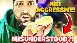 5 Snake Behaviors EVERYONE Gets WRONG! | Even Experienced KEEPERS!