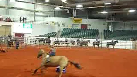 Barrel Racing Bareback