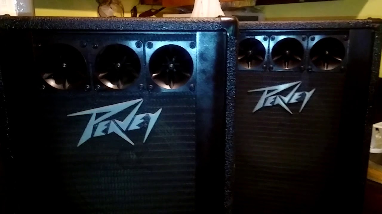 peavey 1210t column speakers