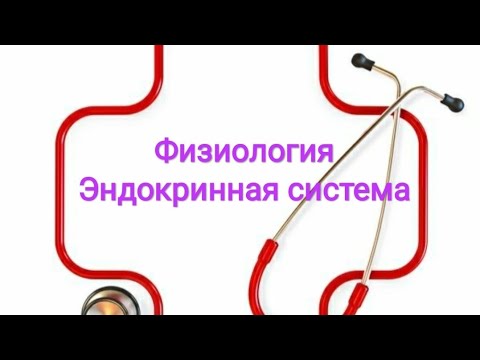 Физиология эндокрыной функции поджелудочной железы. Инсулин и глюкагон.