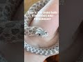 Eastern Hognose is both VENOMOUS AND POISONOUS! Click on full video to learn the fascinating bio!