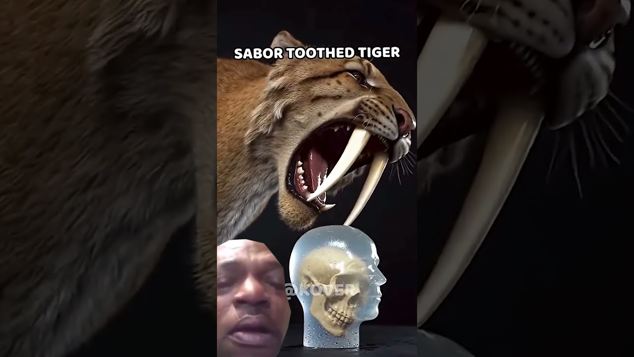 What is the strongest extinct animal?  #funny #memes