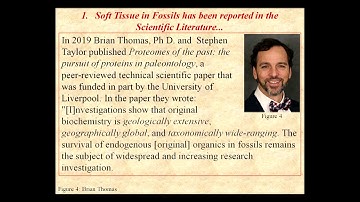 Soft Tissue in Fossils is A Hard Issue For Evolutionists