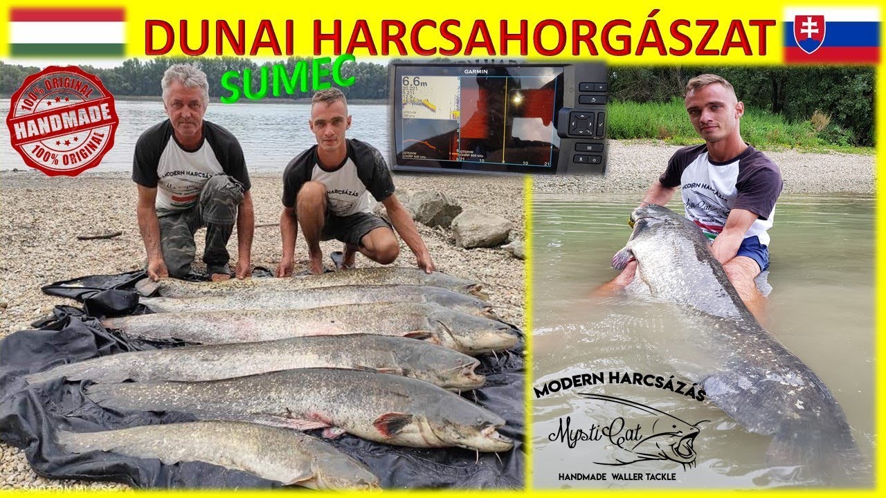 Harcsahorgászat a Duna Folyón, Dunai Harcsázás (Mysticat Team Modern Harcsázás)