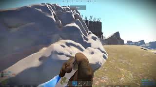 the pro player 11 yo play in rust