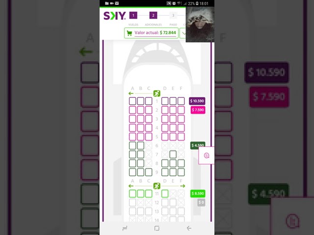 Como comprar un ticket en SKY AIRLINE on line (indicaciones para mi hijo).  - YouTube
