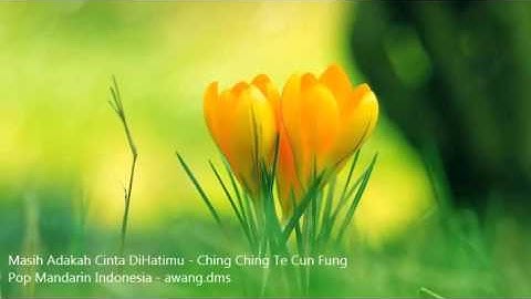 Masih Adakah Cinta DiHatimu - Pop Mandarin Indonesia Kenangan