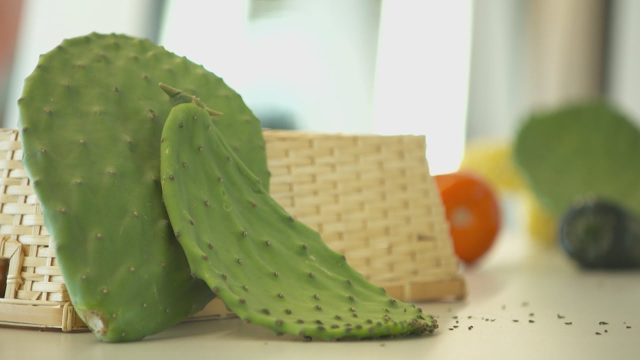 Le cactus nopal, légume de l'avenir? - L'épicerie