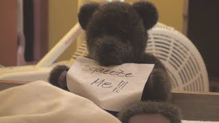 Fml Tales From Fmylife The Bear-Er Of Bad News