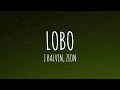 J Balvin Zion Lobo Letra Lyrics mp3