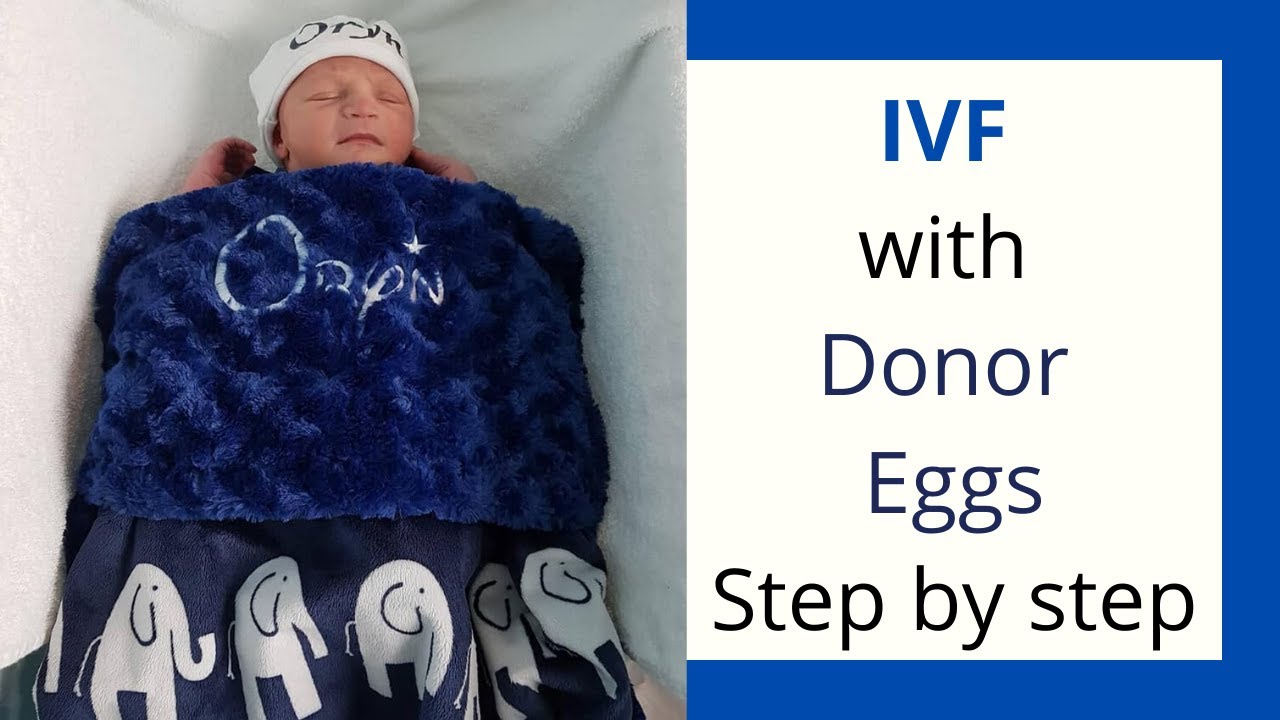 Step by Step to IVF with Donor Eggs