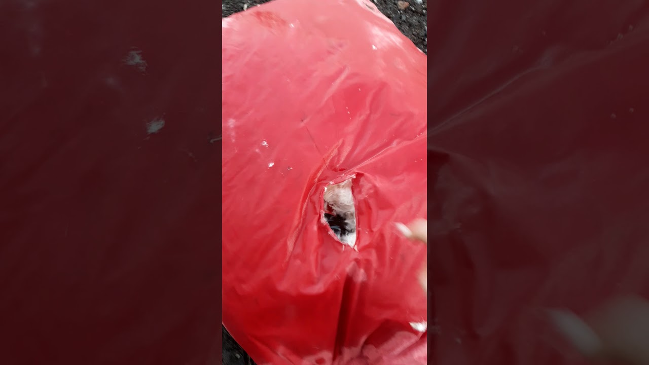 burning 3 featherbed and 2 pillows 😋😋😋😋 YouTube