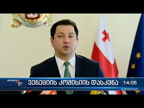 ვენეციის კომისიის დასკვნა - შეფასებები