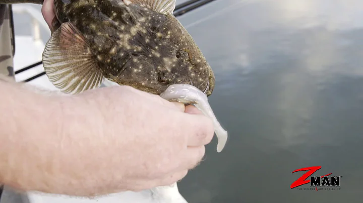 Soft Plastics 101- Chapter 4 - Colour Selection