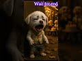 A hardworking puppy #ai #video