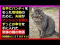 【完全版】4つの試練を乗り越え、ハンディを持った地域猫が奇跡の出会いにより家猫になる物語の完全版。捨て猫➡地域猫➡家猫になる半生を動画にしました。一部公開済の動画もあります。