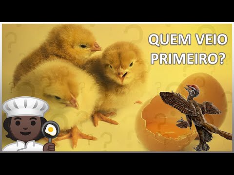 Vídeo: Como Ler Um Ovo