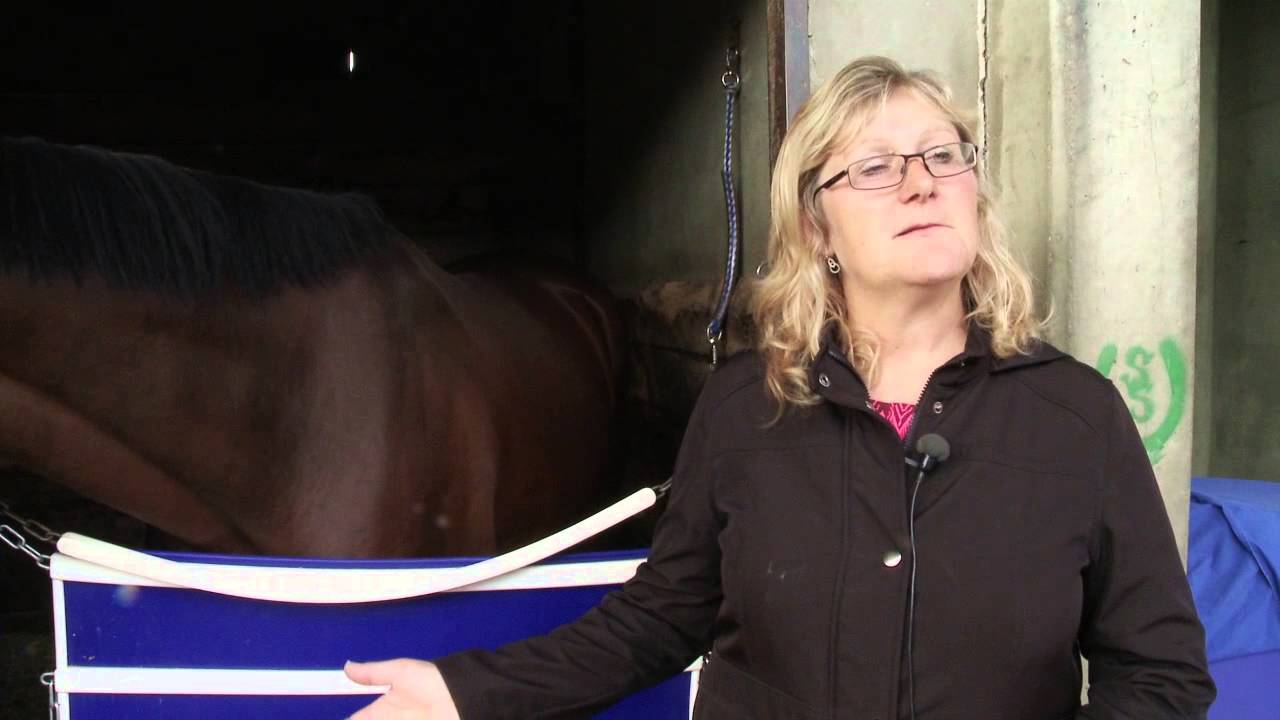Alberta Fall Classic Trainer Jerri Robertson Feature
